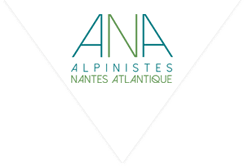 ANA44 logo triangle